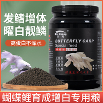 Goldfish Feed Butterfly Brocade Carp Special Fish Food Float Sinking Type Not Muddy Water Hair Tail fin Increased White Fish Feed