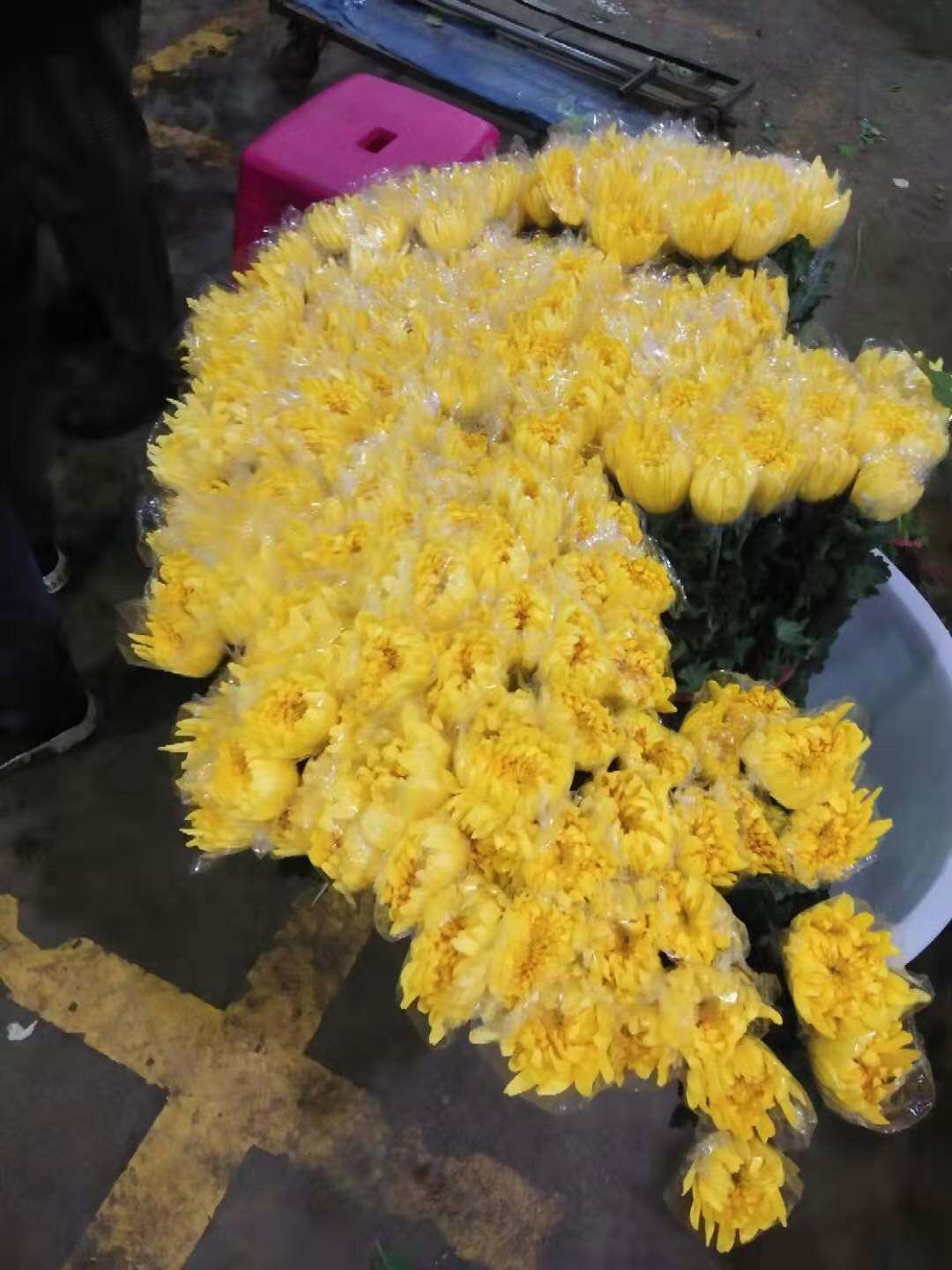 祭祀祭祖祭拜鲜花现货束坟前花上坟花大菊花清明扫墓黄菊白菊花