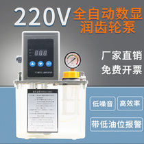 Fully automatic electric injection molding machine precision engraving machine CNC oil injector volume pressure relief textile machine lubrication gear oil pump