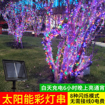 Solar outdoor light string led small color light flashing light string light starry light starry light outdoor hanging tree courtyard decoration Star Light