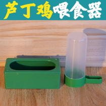 Luding Chicken Quail Pigeon Bird Feeder Small Chick Food Trough kettle Automatic Drinking Water Drinking Water Drinking Water Drink