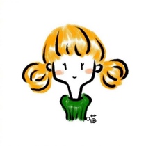 Rice noodle 9 bags 39 9