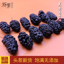  Xinjiang specialty Turpan black mulberry dried soaked in water Premium leave-in wild black mulberry ready-to-eat 500g