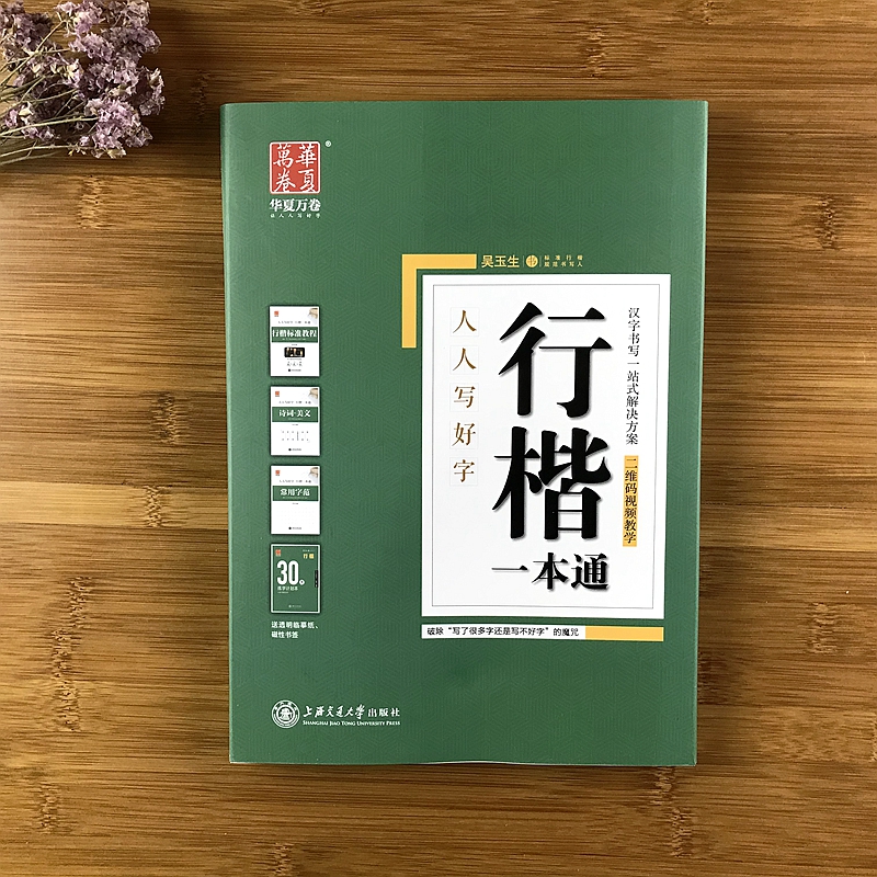 吴玉生行楷钢笔字帖行楷一本通成人大学生女生初学者行楷速成硬笔练字帖手写体临摹练字本