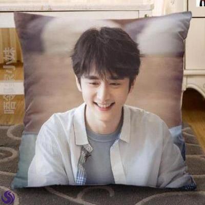 Zhang Xincheng doll pillow removable washable doll double-sided pattern Star picture Birthday gift peripheral new