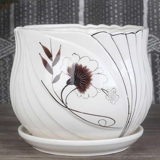 Special porcelain pot with tray was one pot tray was ground ceramic flower pot chlorophytum purple flower POTS