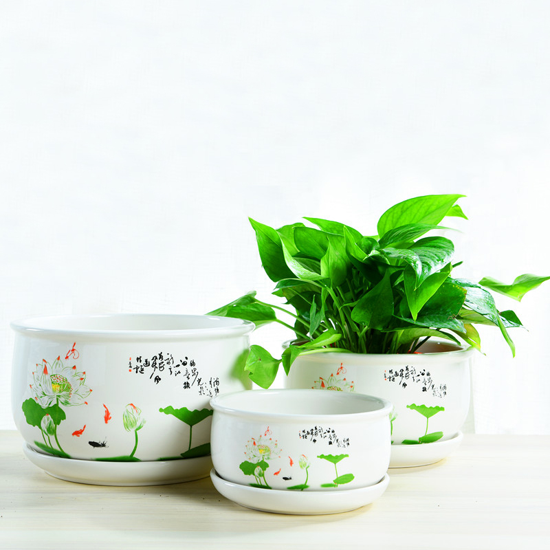 ZhuoJie fleshy flowerpot flower of bracketplant of the ceramic with extra large tray was contracted, the plants indoor household package mail