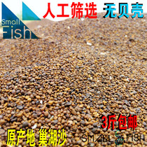 Anhui Nest Lake Sandy Water Grass Clay Sand sand fish Sand Tide Lake Sand Fish Tank Building decoration Sand River Sandstone Nest Lake Sand