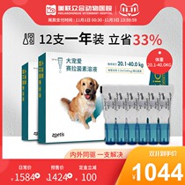 (Big favorite all year round) Big pet dog in vitro deworming large dogs in vitro and in vivo with drip 240mg