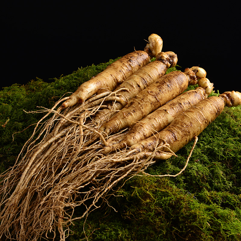 买2发半斤新鲜人参野山参东北长白山