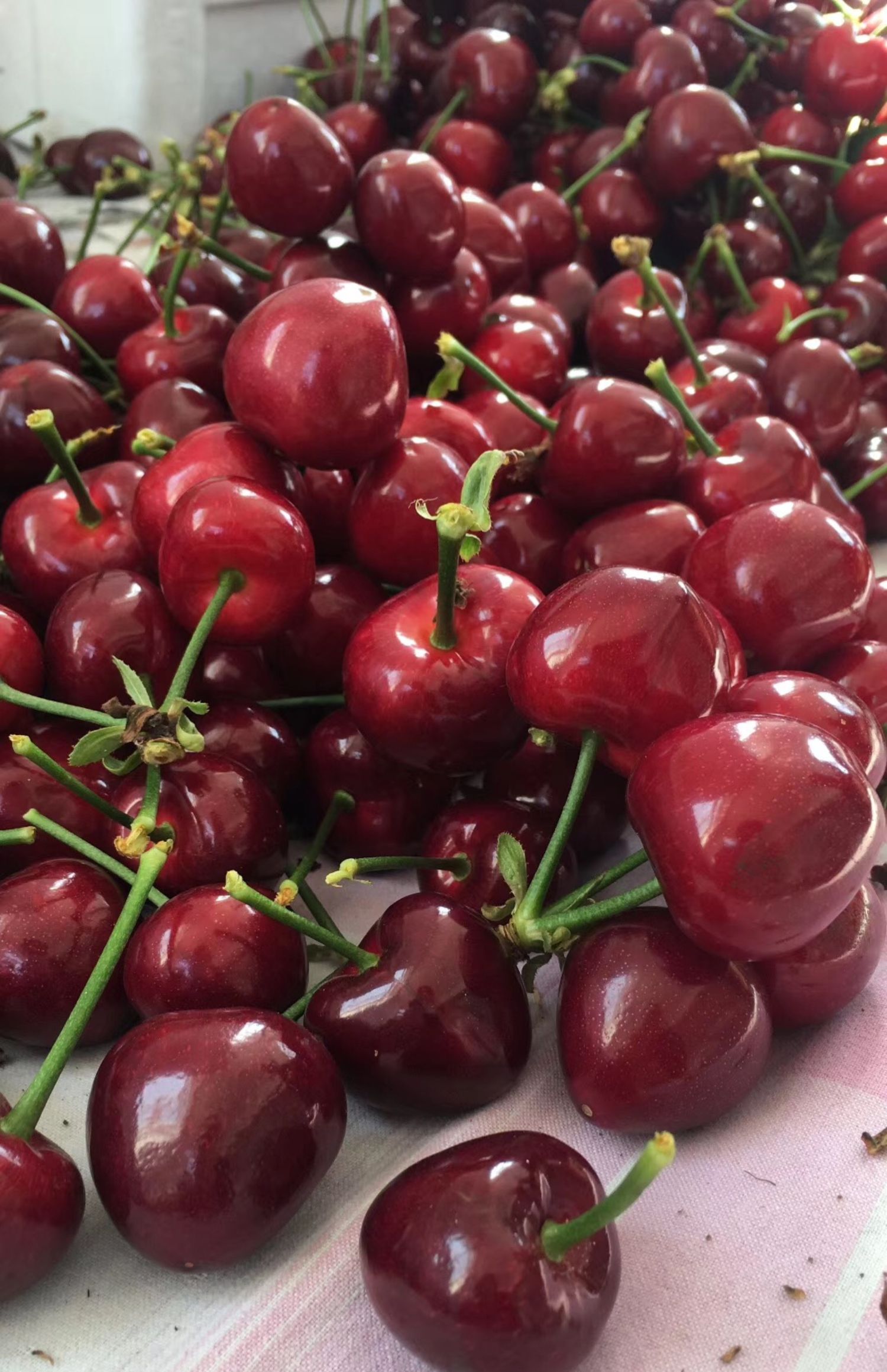 顺丰包邮大连美早大樱桃新鲜水果现货35斤山东烟台国产车厘子红灯_诚