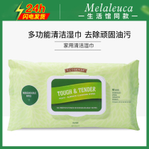 Mermusic Home New Net Home Cleaning Wet Towels Extraction Style 30 Sheets Bio degradable Environmental Protection Supermarket Officer Net