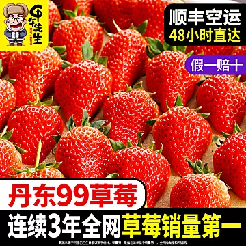 【首单】新鲜丹东草莓1000g[30元优惠券]-寻折猪