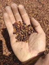 Schisandra chinensis Chinese medicinal materials 500g Southern Schisandra chinensis selected Qinling origin dry product Schisandra chinensis soaked in water for tea