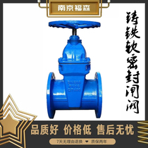 Z45X-16 dark rod cast iron tap water flange soft seal fire elastic seat seal gate valve DN80 125 350