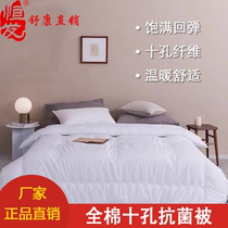 Hengfa Home Textile Cotton ten-hole antibacterial by five-star hotel quilt single double warm quilt core winter thickened