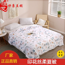 Hengfa home textile printing silk soft summer quilt single summer thin quilt quilt core Double children student dormitory spring and autumn quilt