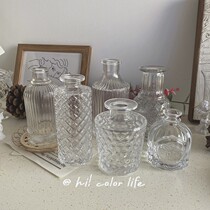 Retro style ins Korean mini glass flower creative simple board room decoration hydroponic hydroponic desktop decoration