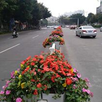 Customized park Alien School PVC Flower Ball Paddle Pool Micro Foaming Street Terrace Saddle Box