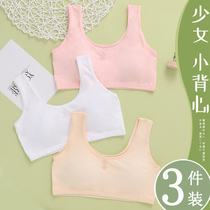 Girls underwear Primary School students Development small vest junior high school students Cotton Girls High School adolescent bra girls