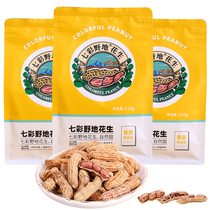 Yunnan Seven colorful peanut cooked peanuts with shell original flavor fried stock Peanuts Snacks Snack Seven Colorful Wild Ground Peanuts New stock