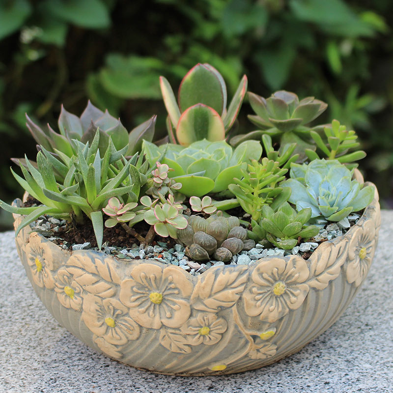 Fleshy flower pot is a clearance contracted creative large caliber meaty plant oversized flowerpot ceramic household specials