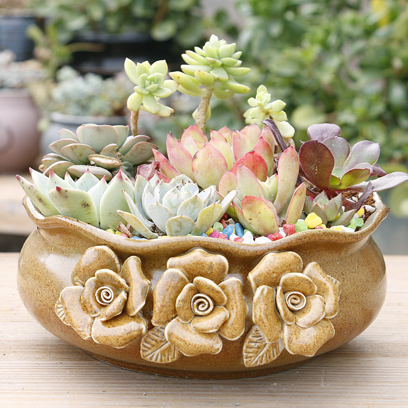 Creative fleshy flower POTS, large diameter platter is ceramic contracted character large extra large clearance meat potted the plants