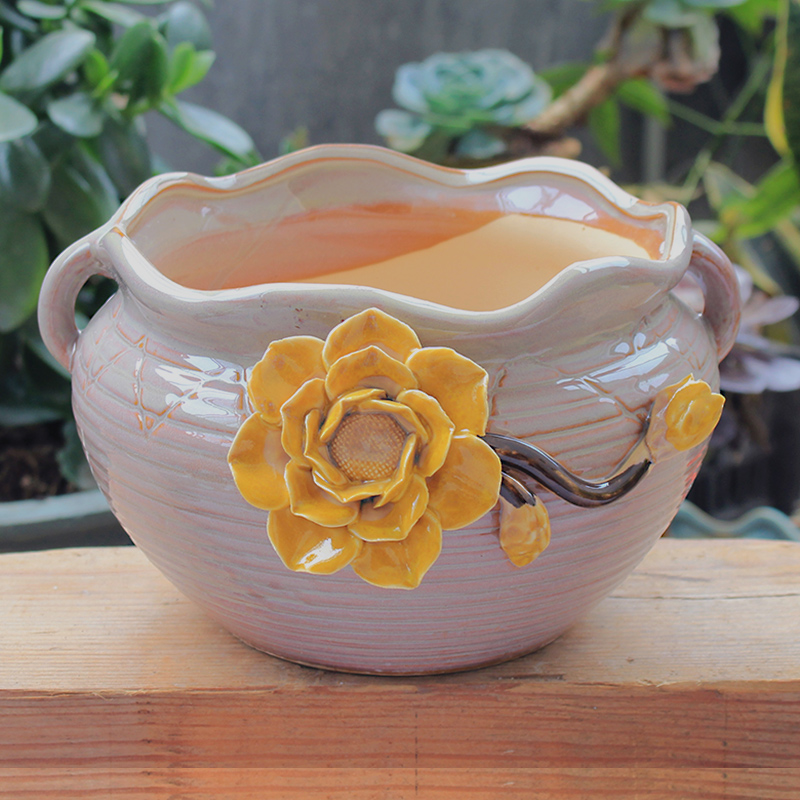 Creative flower POTS, large diameter ceramic basin of large meat meat meat more clearance indoor household breathable old running the flowerpot restoring ancient ways
