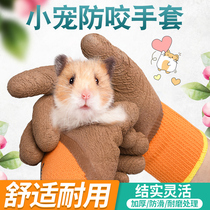 Anti-bite gloves hamster nail squirrel hedgehog anti-scratch toys small pet supplies durable and thick