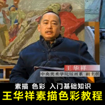 Wang Huaxiang Color Sketch Video Tutorial Complete Reverse Teaching System Introductory Foundation Central Fine Arts College