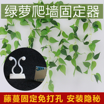 Green plant holder long vine wall shaped self-adhesive wall buckle Vine non-trace buckle Green rose Wall artifact