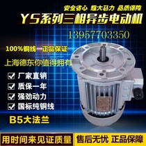 Copper wire GB Dedong three-phase asynchronous motor YS6334 380V 0 25KW speed 1400r min