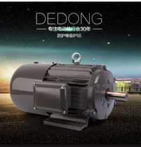Shanghai Dedong Motor YEJ series electromagnetic brake motor power 0 75kW-7 5KW three-phase asynchronous AC