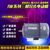 Miniature three-phase asynchronous motor (YS-W) power 120W-1 1KW two-four sub-horsepower motor copper wire