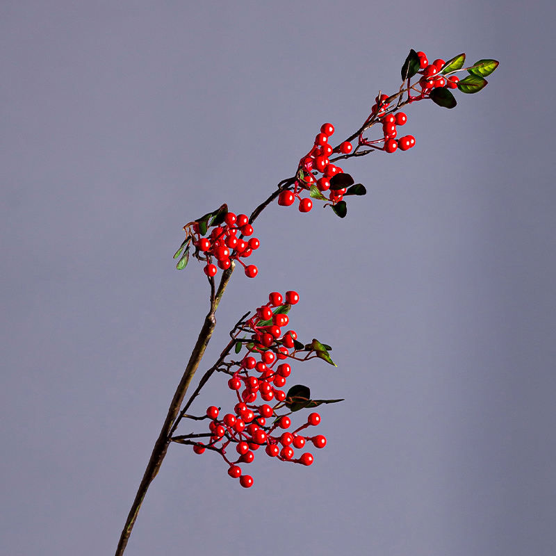 Simulation flower crabapple wedding celebrations get rich berry fruit festival red bean glass ceramic vase jequirity furnishing articles in the living room