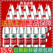 Nongfu Mountain Spring mineral water 550ml*24 FCL small bottle 380ml weak alkaline natural drinking water province