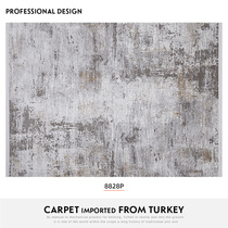 Turkey imported gray Nordic modern light luxury simple living room sofa carpet Minimalist bedroom coffee table mat