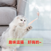 Pie can be cat toy teasing cat sticks feather kittens teasing cat toy laser pen cap for young cat items kitty toys