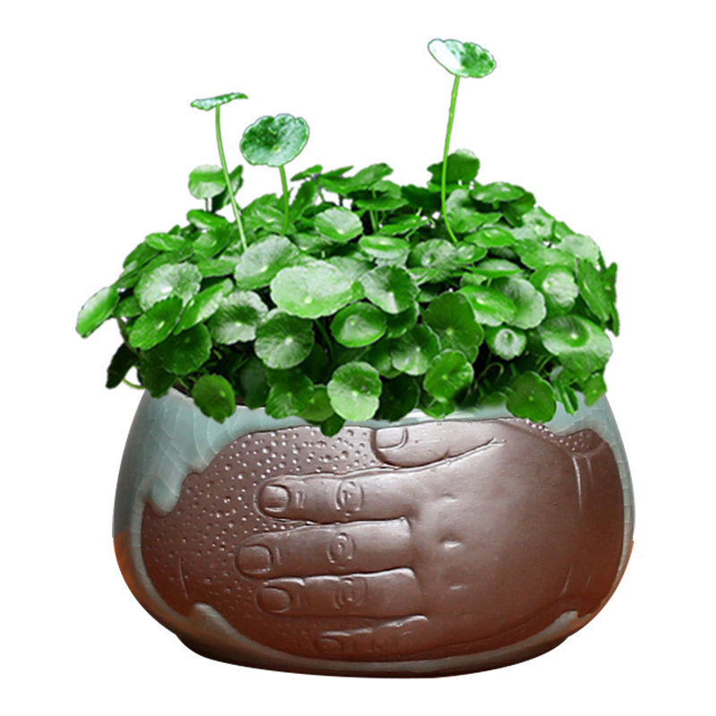 Ceramic hydroponic flower pot copper bowl lotus lotus grass withered lotus refers to no Kong Hua fish scenery new suit