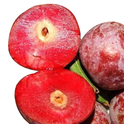 陕西红心黑布林李子当季新鲜孕妇水果包邮5斤整箱非四川脱骨三华_生券