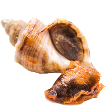 Whale spicy sea conch meat 120g meal replacement seafood cooked food open bag spicy instant fragrance mud snail Net red snacks Snacks