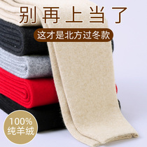 Ordos pure cashmere pants mens thickened womens wool pants thin high-waist warm pants autumn and winter cotton pants