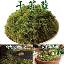 Simulated moss plant moss fake grass pot grass green hay pastoral decoration bonsai potted pavement decoration