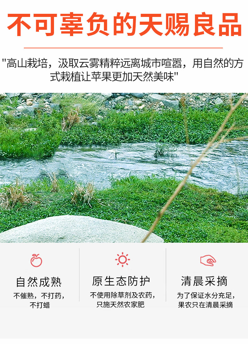 甘肃天水花牛大苹果3斤