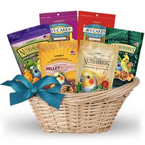 Lafeber Lafber Parrot Parrot Zero Eclipse Balls Bird Eating Tiger Skin Phoenix Peony Interaction Trial Eating Dress