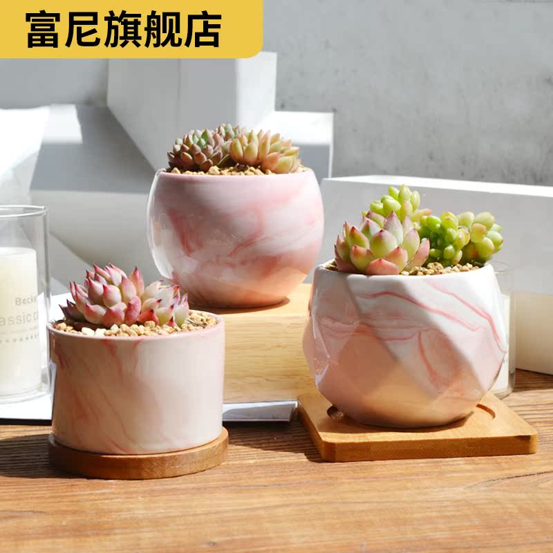 Rich, basin express it in pink floret marble fleshy move flowerpot grain white porcelain meat meat contracted ceramic plant