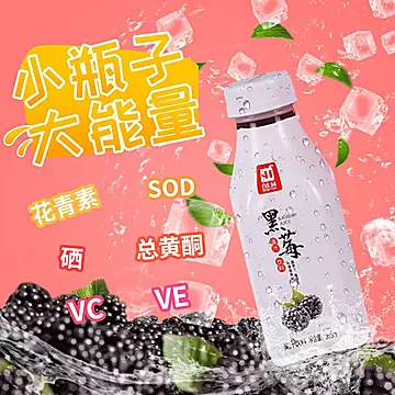 【百汇园】黑莓纯果汁饮料365ml*6瓶[20元优惠券]-寻折猪