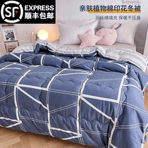 Spring Autumn Quilt Winter Quilt by Dormitory Single Students Quilt by Core Four Seasons General quilted cotton wool Single cotton quilted with thickened warmth