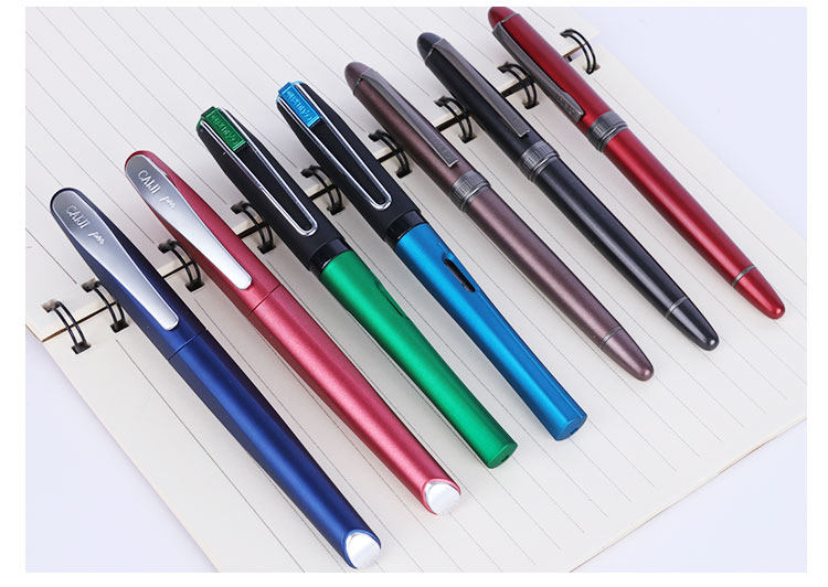 德国彩迹钢笔204铱金笔矫正握姿墨囊钢笔练字一件代发小学生钢笔