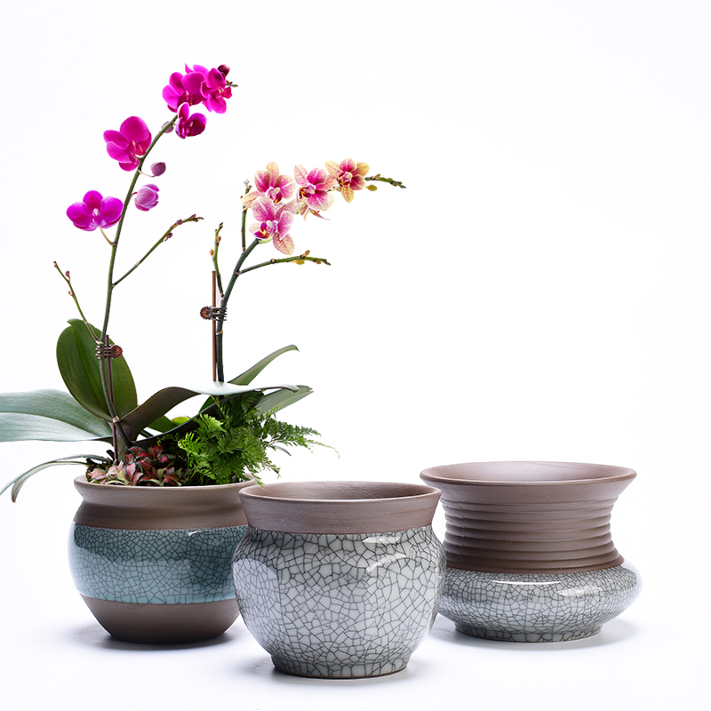 Retro elder brother up with ceramic household meaty plant flower pot coarse pottery breathable clay purple butterfly orchid basin of chlorophytum